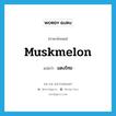 muskmelon แปลว่า?, คำศัพท์ภาษาอังกฤษ muskmelon แปลว่า แตงไทย ประเภท N หมวด N