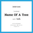 name of a tree แปลว่า?, คำศัพท์ภาษาอังกฤษ name of a tree แปลว่า ร้อยลิ้น ประเภท N หมวด N