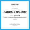 natural fertilizer แปลว่า?, คำศัพท์ภาษาอังกฤษ natural fertilizer แปลว่า ปุ๋ยธรรมชาติ ประเภท N ตัวอย่าง ้ชาวนาใช้ปุ๋ยธรรมชาติแทนปุ๋ยเคมีเพื่อรักษาสภาพแวดล้อม หมวด N