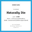 ตายดี ภาษาอังกฤษ?, คำศัพท์ภาษาอังกฤษ ตายดี แปลว่า naturally die ประเภท V ตัวอย่าง เขาทำเลวมามากคงไม่ตายดีหรอก เพิ่มเติม ตายตามธรรมชาติ มักใช้ในทางปฏิเสธว่าไม่ตายดี หมวด V