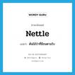 nettle แปลว่า?, คำศัพท์ภาษาอังกฤษ nettle แปลว่า ต้นไม้ป่าที่มีขนตามใบ ประเภท N หมวด N