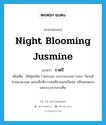 ราตรี ภาษาอังกฤษ?, คำศัพท์ภาษาอังกฤษ ราตรี แปลว่า Night blooming jusmine ประเภท N เพิ่มเติม ไม้พุ่มชนิด Cestrum nocturnum Linn. ในวงศ์ Solanaceae ดอกเล็กสีขาวปนเขียวออกเป็นช่อ กลิ่นหอมแรงเฉพาะเวลากลางคืน หมวด N