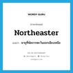 northeaster แปลว่า?, คำศัพท์ภาษาอังกฤษ northeaster แปลว่า พายุที่พัดจากตะวันออกเฉียงเหนือ ประเภท N หมวด N