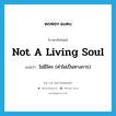 not a living soul แปลว่า?, คำศัพท์ภาษาอังกฤษ not a living soul แปลว่า ไม่มีใคร (คำไม่เป็นทางการ) ประเภท IDM หมวด IDM