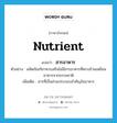 สารอาหาร ภาษาอังกฤษ?, คำศัพท์ภาษาอังกฤษ สารอาหาร แปลว่า nutrient ประเภท N ตัวอย่าง ผลิตภัณฑ์อาหารเสริมไม่มีสารอาหารที่ครบถ้วนเหมือนอาหารจากธรรมชาติ เพิ่มเติม สารที่เป็นส่วนประกอบสำคัญในอาหาร หมวด N