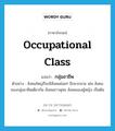 occupational class แปลว่า?, คำศัพท์ภาษาอังกฤษ occupational class แปลว่า กลุ่มอาชีพ ประเภท N ตัวอย่าง สังคมใหญ่ก็จะมีสังคมย่อยๆ อีกมากมาย เช่น สังคมของกลุ่มอาชีพเดียวกัน สังคมชาวพุทธ สังคมของผู้หญิง เป็นต้น หมวด N