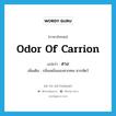 odor of carrion แปลว่า?, คำศัพท์ภาษาอังกฤษ odor of carrion แปลว่า สาง ประเภท N เพิ่มเติม กลิ่นเหม็นของซากศพ ซากสัตว์ หมวด N