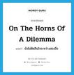 on the horns of a dilemma แปลว่า?, คำศัพท์ภาษาอังกฤษ on the horns of a dilemma แปลว่า ยังไม่ตัดสินใจระหว่างสองสิ่ง ประเภท IDM หมวด IDM