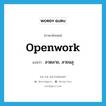 openwork แปลว่า?, คำศัพท์ภาษาอังกฤษ openwork แปลว่า ลวดลาย, ลายฉลุ ประเภท N หมวด N