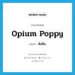 opium poppy แปลว่า?, คำศัพท์ภาษาอังกฤษ opium poppy แปลว่า ต้นฝิ่น ประเภท N หมวด N