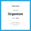 ระบบ ภาษาอังกฤษ?, คำศัพท์ภาษาอังกฤษ ระบบ แปลว่า organism ประเภท N หมวด N