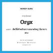 oryx แปลว่า?, คำศัพท์ภาษาอังกฤษ oryx แปลว่า สัตว์สี่เท้าคล้ายกวางขนาดใหญ่ มีเขายาวตรง ประเภท N หมวด N