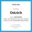 ostrich แปลว่า?, คำศัพท์ภาษาอังกฤษ ostrich แปลว่า นกกระจอกเทศ ประเภท N เพิ่มเติม นกขนาดใหญ่ในวงศ์ Struthionidae ขาใหญ่แข็งแรง ตีนมี 2 นิ้ว วิ่งเร็ว แต่บินไม่ได้ มีถิ่นกำเนิดในทวีปแอฟริกา หมวด N