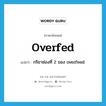 overfed แปลว่า?, คำศัพท์ภาษาอังกฤษ overfed แปลว่า กริยาช่องที่ 2 ของ overfeed ประเภท VI หมวด VI