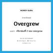 overgrew แปลว่า?, คำศัพท์ภาษาอังกฤษ overgrew แปลว่า กริยาช่องที่ 2 ของ overgrow ประเภท VI หมวด VI