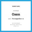 oxen แปลว่า?, คำศัพท์ภาษาอังกฤษ oxen แปลว่า คำนามพหูพจน์ของ ox ประเภท N หมวด N