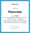 pancreas แปลว่า?, คำศัพท์ภาษาอังกฤษ pancreas แปลว่า ตับอ่อน ประเภท N ตัวอย่าง คนขณะมีชีวิตมีตับอ่อนสีเหลืองนุ่ม รูปร่างคล้ายตัวลูกน้ำยาวประมาณ 12.5 – 15 เซนติเมตร เพิ่มเติม ต่อมของระบบทางเดินอาหารของคนและสัตว์ อยู่ในช่องท้อง ทำหน้าที่สร้างและขับน้ำย่อยอาหาร สร้างอินซูลิน หมวด N