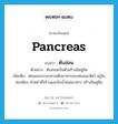 pancreas แปลว่า?, คำศัพท์ภาษาอังกฤษ pancreas แปลว่า ตับอ่อน ประเภท N ตัวอย่าง ตับอ่อนเป็นตัวสร้างอินซูลิน เพิ่มเติม ต่อมของระบบทางเดินอาหารของคนและสัตว์ อยู่ในช่องท้อง ทำหน้าที่สร้างและขับน้ำย่อยอาหาร สร้างอินซูลิน หมวด N