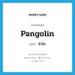 ตัวนิ่ม ภาษาอังกฤษ?, คำศัพท์ภาษาอังกฤษ ตัวนิ่ม แปลว่า pangolin ประเภท N หมวด N