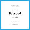 peascod แปลว่า?, คำศัพท์ภาษาอังกฤษ peascod แปลว่า ฝักถั่ว ประเภท N หมวด N