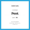 เพิง ภาษาอังกฤษ?, คำศัพท์ภาษาอังกฤษ เพิง แปลว่า pent ประเภท N หมวด N