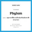 กลุ่มภาษาที่มีความเกี่ยวข้องกันในเชิงประวัติ (ทางภาษา) ภาษาอังกฤษ?, คำศัพท์ภาษาอังกฤษ กลุ่มภาษาที่มีความเกี่ยวข้องกันในเชิงประวัติ (ทางภาษา) แปลว่า phylum ประเภท N หมวด N