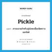 pickle แปลว่า?, คำศัพท์ภาษาอังกฤษ pickle แปลว่า สารละลายสำหรับจุ่มโลหะเพื่อขจัดคราบออกไซด์ ประเภท N หมวด N