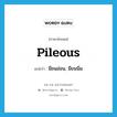 pileous แปลว่า?, คำศัพท์ภาษาอังกฤษ pileous แปลว่า มีขนอ่อน, มีขนนิ่ม ประเภท ADJ หมวด ADJ