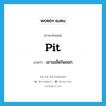 pit แปลว่า?, คำศัพท์ภาษาอังกฤษ pit แปลว่า เอาเมล็ดในออก ประเภท VT หมวด VT