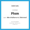 plum แปลว่า?, คำศัพท์ภาษาอังกฤษ plum แปลว่า ดีเลิศ (คำไม่เป็นทางการ), ซึ่งมีประโยชน์ ประเภท ADJ หมวด ADJ