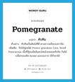 ทับทิม ภาษาอังกฤษ?, คำศัพท์ภาษาอังกฤษ ทับทิม แปลว่า pomegranate ประเภท N ตัวอย่าง ทับทิมเป็นต้นไม้ที่ดี ตามความเชื่อของชาวจีน เพิ่มเติม ชื่อไม้พุ่มชนิด Punica granatum Linn. ในวงศ์ Punicaceae เนื้อที่หุ้มเมล็ดสีแดงใสคล้ายพลอยทับทิม กินได้ เปลือกของต้น ของผล และของราก ใช้ทำยาได้ หมวด N