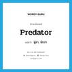 predator แปลว่า?, คำศัพท์ภาษาอังกฤษ predator แปลว่า ผู้ล่า, นักล่า ประเภท N หมวด N