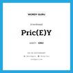 pric(e)y แปลว่า?, คำศัพท์ภาษาอังกฤษ pric(e)y แปลว่า แพง ประเภท SL หมวด SL