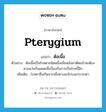 pterygium แปลว่า?, คำศัพท์ภาษาอังกฤษ pterygium แปลว่า ต้อเนื้อ ประเภท N ตัวอย่าง ต้อเนื้อเป็นโรคตาชนิดหนึ่งเมื่อหลังผ่าตัดแล้วจะต้องสวนแว่นกันแดดเพื่อป้องกันการเป็นโรคนี้อีก เพิ่มเติม โรคตาซึ่งเกิดจากเยื่อตางอกไปบนกระจกตา หมวด N