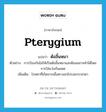 pterygium แปลว่า?, คำศัพท์ภาษาอังกฤษ pterygium แปลว่า ต้อลิ้นหมา ประเภท N ตัวอย่าง การป้องกันไม่ให้เป็นต้อลิ้นหมาและต้อลมอาจทำได้โดยการใส่แว่นกันแดด เพิ่มเติม โรคตาที่เกิดจากเยื่อตางอกไปบนกระจกตา หมวด N