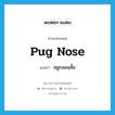 pug nose แปลว่า?, คำศัพท์ภาษาอังกฤษ pug nose แปลว่า จมูกงอนสั้น ประเภท N หมวด N