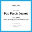 put forth leaves แปลว่า?, คำศัพท์ภาษาอังกฤษ put forth leaves แปลว่า แตกใบ ประเภท V ตัวอย่าง ผักบุ้งของคุณสวยจริงๆ แตกยอดแตกใบเร็วจังเลย หมวด V