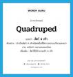 quadruped แปลว่า?, คำศัพท์ภาษาอังกฤษ quadruped แปลว่า สัตว์ 4 เท้า ประเภท N ตัวอย่าง ม้าเป็นสัตว์ 4 เท้าชนิดหนึ่งที่มีความประเปรียวและสง่างาม จนใครๆ หลายคนหลงใหล เพิ่มเติม สัตว์ที่มีจำนวนเท้า 4 เท้า หมวด N