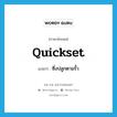 quickset แปลว่า?, คำศัพท์ภาษาอังกฤษ quickset แปลว่า ซึ่งปลูกตามรั้ว ประเภท ADJ หมวด ADJ