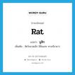 rat แปลว่า?, คำศัพท์ภาษาอังกฤษ rat แปลว่า มูสิก ประเภท N เพิ่มเติม สัตว์ขนาดเล็ก มีฟันแทะ หางเรียวยาว หมวด N