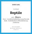 reptile แปลว่า?, คำศัพท์ภาษาอังกฤษ reptile แปลว่า เลื้อยคลาน ประเภท N ตัวอย่าง ในสวนสัตว์แห่งใหม่มีสัตว์เลื้อยคลานแสดงไว้หลายชนิด เพิ่มเติม เรียกสัตว์เลือดเย็นจำพวกที่ผิวหนังมีเกล็ดปกคลุม หายใจด้วยปอด หมวด N