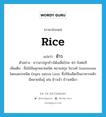 ข้าว ภาษาอังกฤษ?, คำศัพท์ภาษาอังกฤษ ข้าว แปลว่า rice ประเภท N ตัวอย่าง ชาวนาปลูกข้าวได้เฉลี่ยไร่ละ 40 ถังต่อปี เพิ่มเติม ชื่อไม้ล้มลุกหลายชนิด หลายสกุล ในวงศ์ Gramineae โดยเฉพาะชนิด Oryza sativa Linn. ซึ่งใช้เมล็ดเป็นอาหารหลัก มีหลายพันธุ์ เช่น ข้าวเจ้า ข้าวเหนียว หมวด N