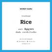 rice แปลว่า?, คำศัพท์ภาษาอังกฤษ rice แปลว่า ธัญญาหาร ประเภท N เพิ่มเติม อาหารคือ ข้าวเปลือก หมวด N