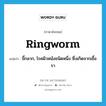 ringworm แปลว่า?, คำศัพท์ภาษาอังกฤษ ringworm แปลว่า ขี้กลาก, โรคผิวหนังชนิดหนึ่ง ซึ่งเกิดจากเชื้อรา ประเภท N หมวด N