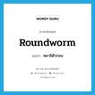 roundworm แปลว่า?, คำศัพท์ภาษาอังกฤษ roundworm แปลว่า พยาธิตัวกลม ประเภท N หมวด N