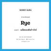 rye แปลว่า?, คำศัพท์ภาษาอังกฤษ rye แปลว่า เมล็ดของต้นข้าวไรย์ ประเภท N หมวด N