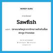 sawfish แปลว่า?, คำศัพท์ภาษาอังกฤษ sawfish แปลว่า ปลาขนาดใหญ่ขากรรไกรยาวคล้ายใบเลื่อยตระกูล Pristidae ประเภท N หมวด N