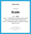 scale แปลว่า?, คำศัพท์ภาษาอังกฤษ scale แปลว่า เกล็ด ประเภท N ตัวอย่าง ปลาที่ไม่มีเกล็ดมักจะมีเมือกลื่นแทนเกล็ด ทำหน้าที่ปกคลุม และป้องกันอันตรายที่จะเกิดกับเนื้อและหนังปลา เพิ่มเติม ส่วนที่เป็นแผ่น ซ้อนเหลื่อมๆ กันห่อหุ้มตัวปลาและสัตว์เลื้อยคลานบางชนิด หมวด N