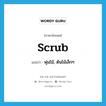 scrub แปลว่า?, คำศัพท์ภาษาอังกฤษ scrub แปลว่า พุ่มไม้, ต้นไม้เล็กๆ ประเภท N หมวด N