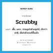 scrubby แปลว่า?, คำศัพท์ภาษาอังกฤษ scrubby แปลว่า เตี้ย, แคระ, ปกคลุมไปด้วยพุ่มไม้, เล็กกว่าปกติ, เต็มไปด้วยขนที่สั้นแข็ง ประเภท ADJ หมวด ADJ